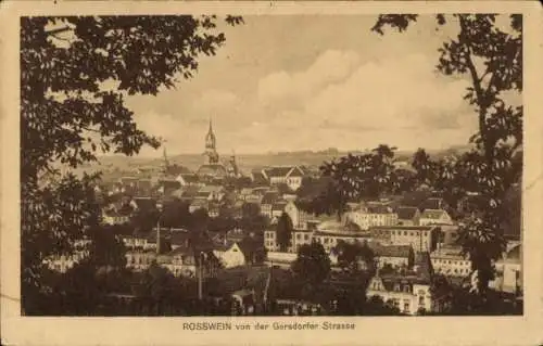 Ak Rosswein Roßwein in Sachsen, Blick von der Gersdorfer Straße, J. Th. Spierings Overschie Kade 93