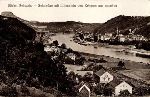 Ak Bad Schandau an der Elbe, Panorama mit Lilienstein, Blick von Krippen