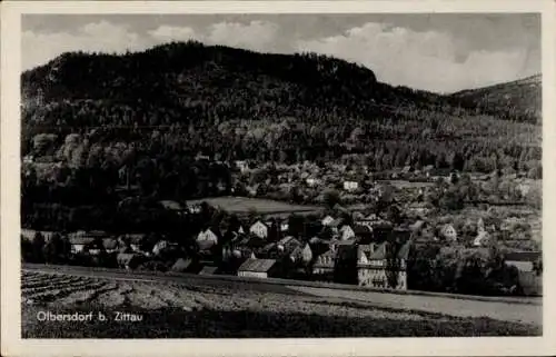 Ak Olbersdorf in Sachsen, Panorama, Ameisenberg