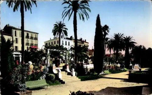 Ak Hyères les Palmiers Var, Jardin du Roi