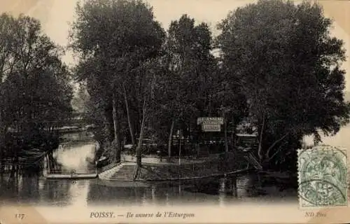 Ak Poissy S. et O., Ile annexe de l'Esturgeon