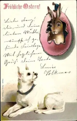 Glitzer Ak Glückwunsch Ostern, Hase schaut aus einem Ei, Hund