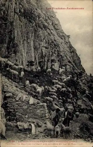 Ak Ax les Thermes Ariege, Montagnes, Troupeau de Moutons aux environs du Lac de Naguilles