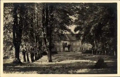 Ak Plön, Blick auf das Prinzenhaus, Wald