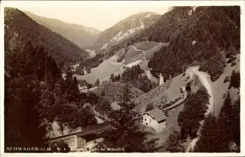 Ak Breitnau im Schwarzwald, Höllental, Höllsteig, Hofgut Sternen, Ravenna Viadukt