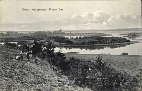 Ak Bosau in Holstein, Panorama, großer Plöner See