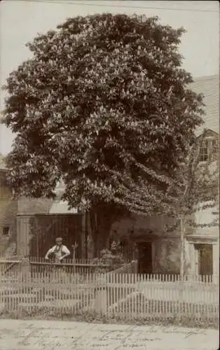 Foto Ak Grünau Leipzig in Sachsen, Wohnhaus, Mann im Garten, Kastanienbaum