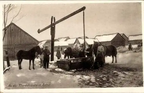 Ak Kolno Polen, Kriegsschauplatz 1. WK, Pferdetränke, Ostpreußenhilfe