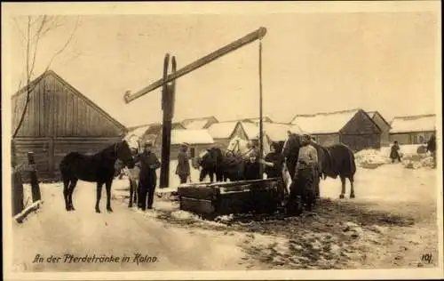 Ak Kolno Polen, Kriegsschauplatz 1. WK, An der Pferdetränke