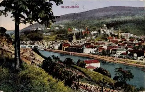 Ak Heidelberg am Neckar, Panorama