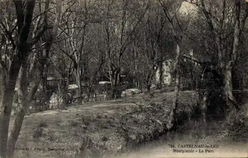 Ak Castelnau le Lez Hèrault, Montplaisir, Park