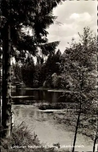 Ak Neuhaus im Solling Holzminden Niedersachsen, Lakenhausteich