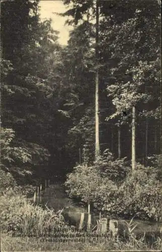 Ak Bad Rothenfelde am Teutoburger Wald, Am alten Steg