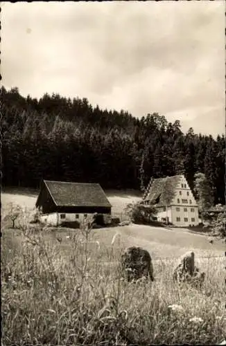 Ak Freudenstadt im Schwarzwald, Bärenschlösschen