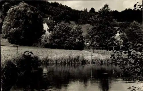 Ak Eisenberg in Thüringen, Mühltal, Gesamtansicht