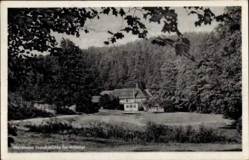 Ak Eisenberg in Thüringen, Froschmühle, Mühltal, Gesamtansicht