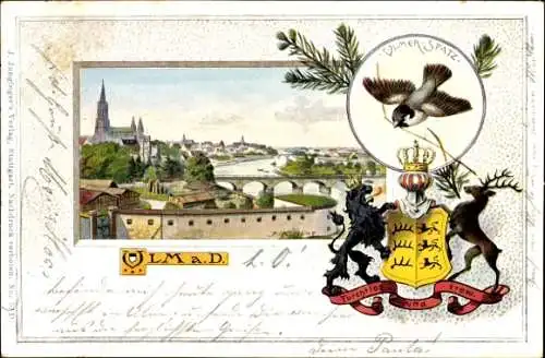 Wappen Passepartout Ak Ulm an der Donau, Panorama, Ulmer Spatz