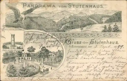 Litho Schleusingen in Thüringen, Stutenhaus am Adlersberg, Panorama, Turm, Adler