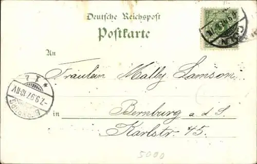 Litho Köln, Salondampfer in Fahrt, Stadtblick