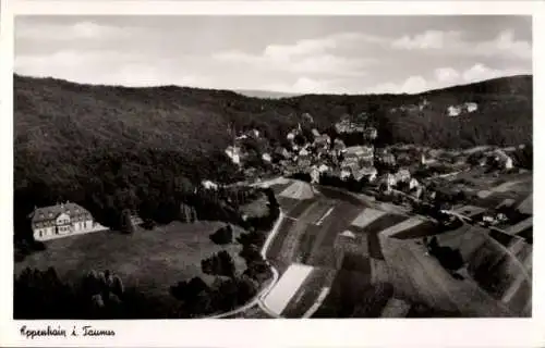 Ak Eppenhain Kelkheim im Taunus, Fliegeraufnahme