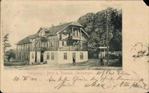 Ak Steinbergen Rinteln an der Weser, Wolbrechts Hotel und Pension