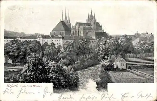 Ak Erfurt in Thüringen, Dom von Westen