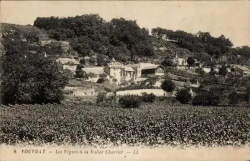 Ak Vouvray Indre et Loire, La Vignes a la Vallee Chartier