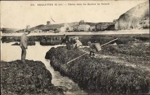 Ak Veulettes sur Mer Seine Maritime, Peche dans les Roches de Varech