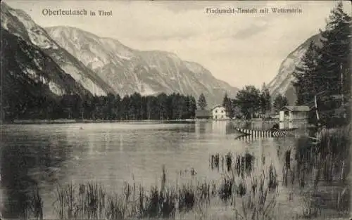 Ak Oberleutasch Leutasch in Tirol, Fischzucht-Anstalt, Wetterstein