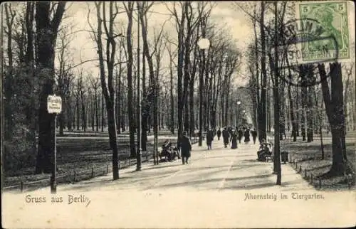 Ak Berlin Tiergarten, Im Tiergarten, Ahornsteig