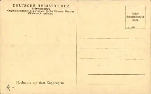 Ak Krummhübel Riesengebirge Schlesien, Hochmoor auf dem Koppenplan