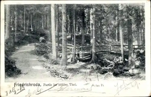 Ak Friedrichroda im Thüringer Wald, kühles Tal, Brücke, Wald