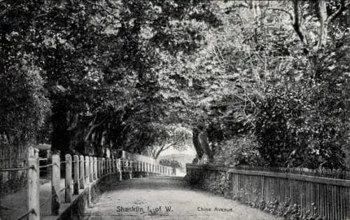 Ak Shanklin Isle of Wight England, Chine Avenue