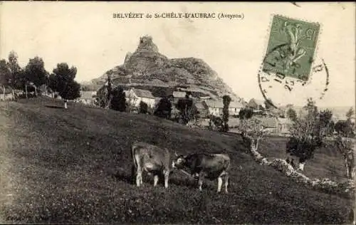 Ak St-Chely-d'Aubrac Aveyron, Belvezet, Kühe auf der Wiese