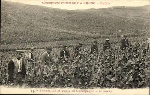 Sert mit 40 Ansichtskarten Reims, Caves Pommery, Umschlag