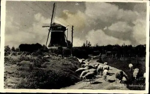 Set von 90 Ansichtskarten Windmühlen Niederlande