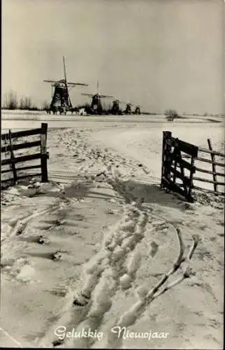 Set von 90 Ansichtskarten Windmühlen Niederlande