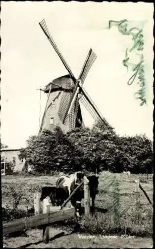 Set von 90 Ansichtskarten Windmühlen Niederlande