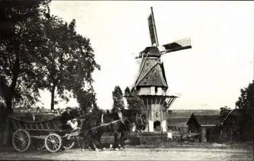 Set von 90 Ansichtskarten Windmühlen Niederlande