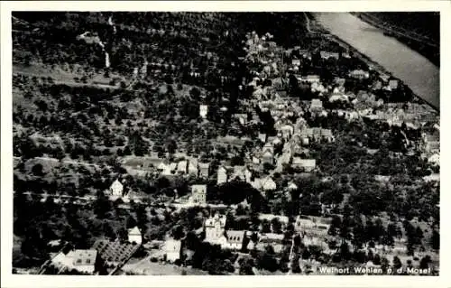 Ak Wehlen Bernkastel Kues an der Mosel, Fliegeraufnahme