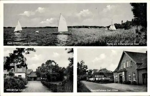 Ak Dreibergen Bad Zwischenahn in Oldenburg, Geschäft Carl Otten, Linde, Segelboote