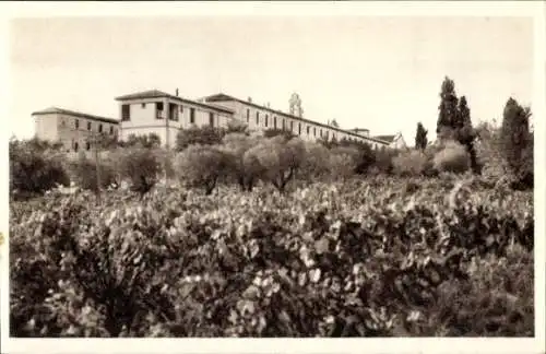 Ak Montpellier Hérault, Nazareth, vue d'ensemble et vignoble