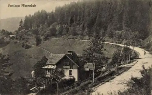 Ak Sainte Marie aux Mines Markirch Elsass Haut Rhin, Forsthaus Pflanzschule