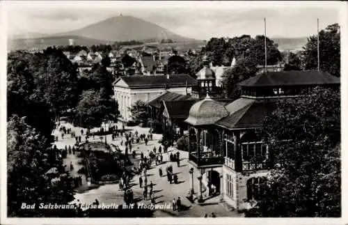 Ak Szczawno Zdrój Bad Salzbrunn Niederschlesien, Elisenhalle, Hochwald