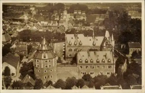 Ak Alzey in Rheinhessen, Schloss