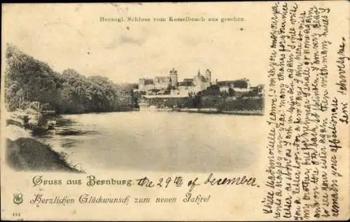 Ak Bernburg an der Saale, Blick vom Kesselbusch, Herzogliches Schloss