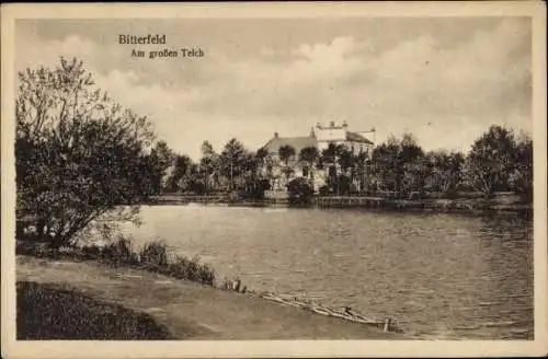 Ak Bitterfeld in Sachsen Anhalt, Am großen Teich