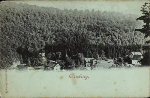 Mondschein Ak Treseburg Thale im Harz, Gesamtansicht