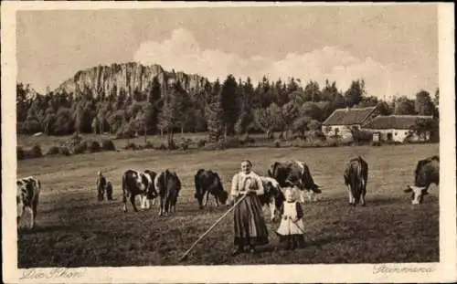 Ak Poppenhausen an der Wasserkuppe Rhön, Steinwand, Rinder auf der Weide