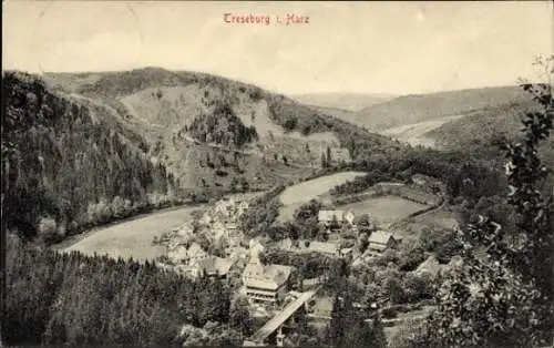 Ak Treseburg Thale im Harz, Panorama